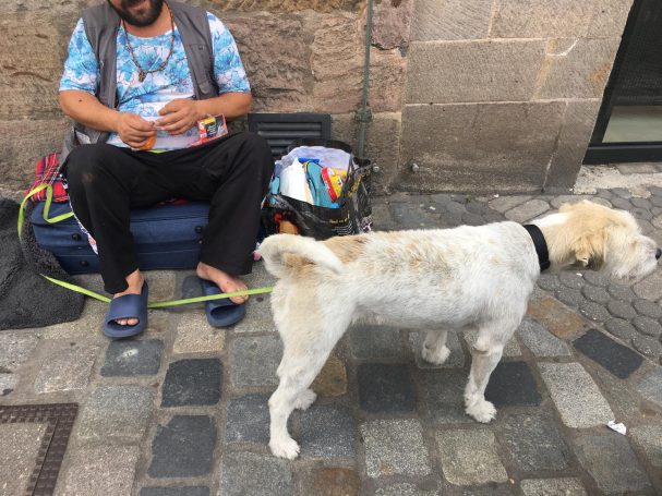 Einige von uns versorgte Obdachlose haben einen Hund. Einige von uns versorgte Obdachlose haben einen Hund.